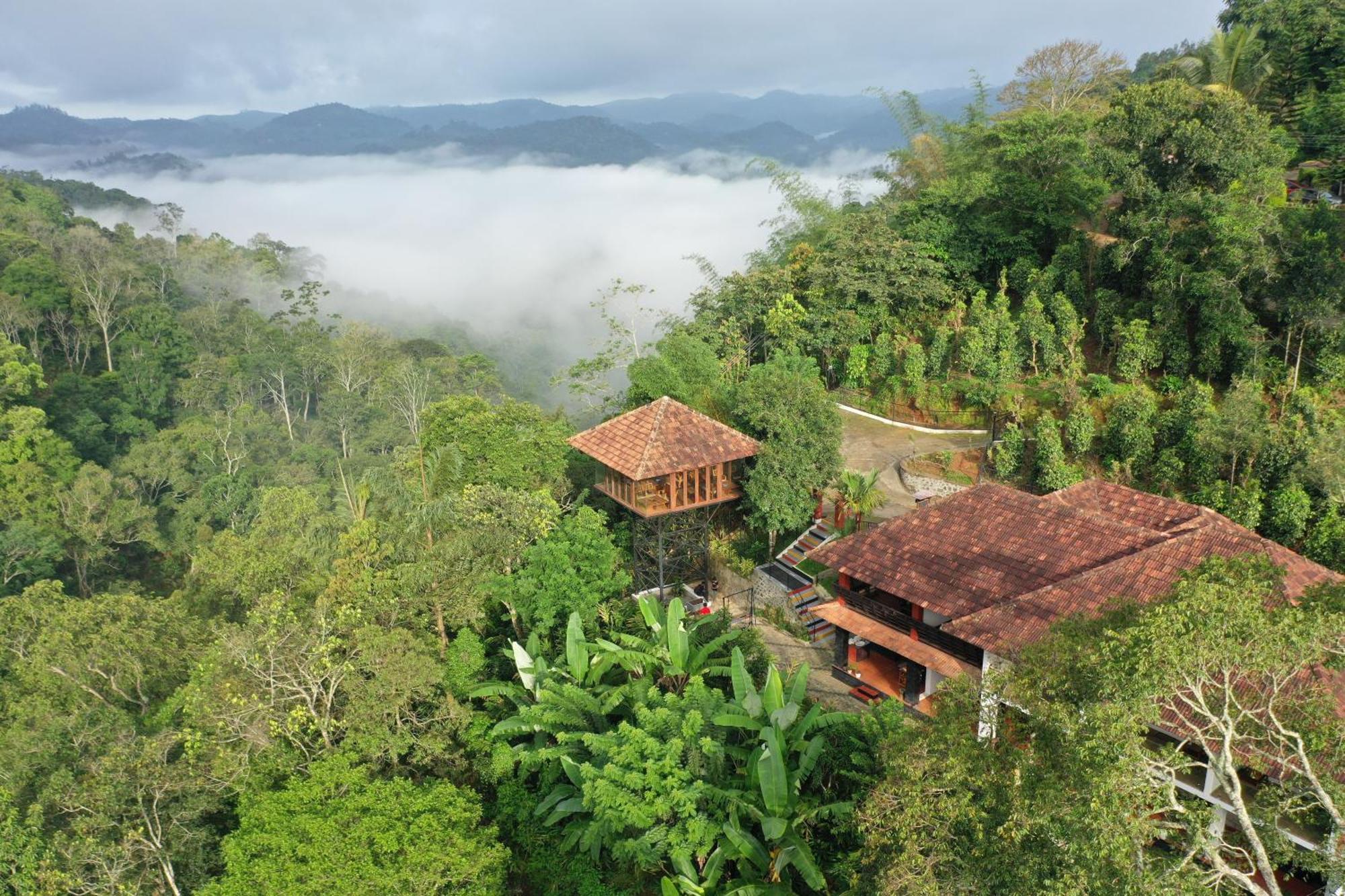 Spice Forest Plantation Homestay, Thekkady Vandiperiyār Exterior foto