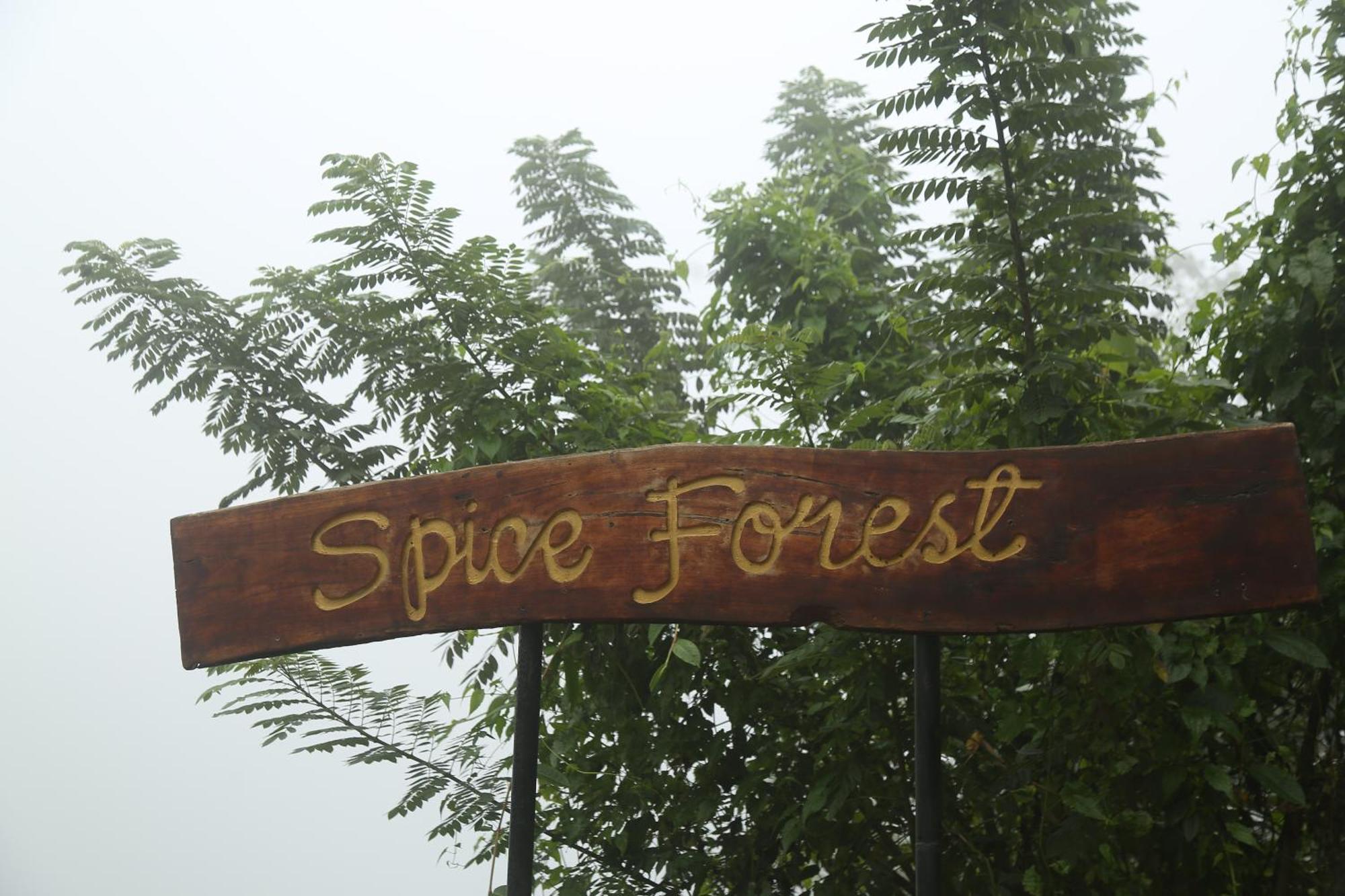 Spice Forest Plantation Homestay, Thekkady Vandiperiyār Exterior foto