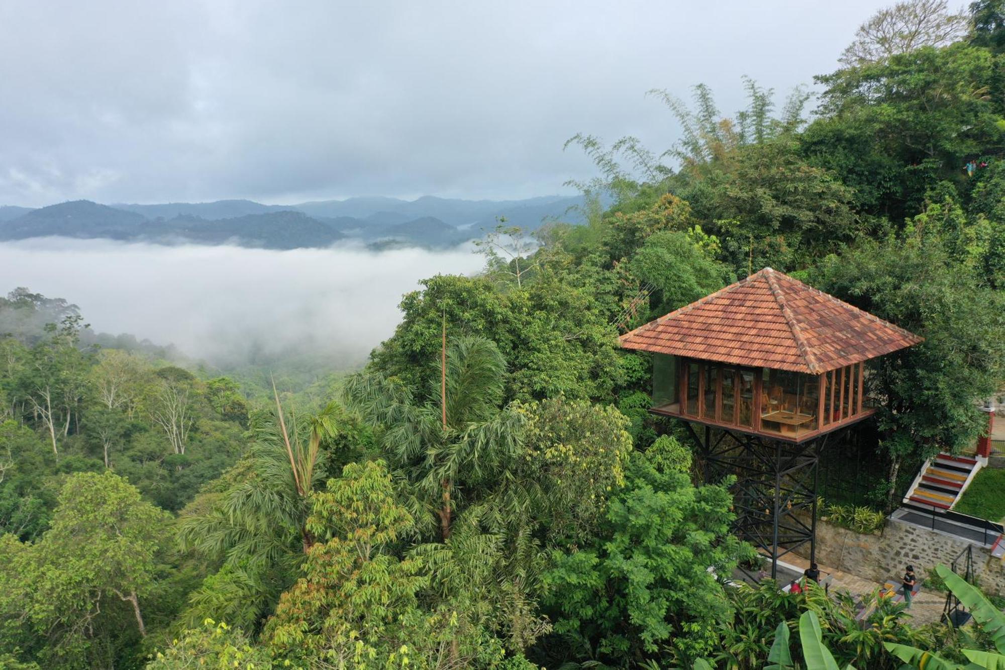 Spice Forest Plantation Homestay, Thekkady Vandiperiyār Exterior foto